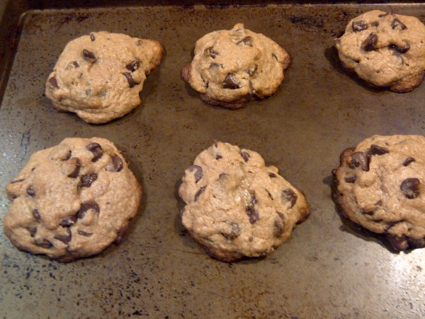 Whole Wheat Cookies Out of the Oven